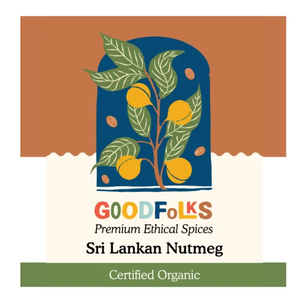 JOYUS WEB BANNER COLLECTION (27)