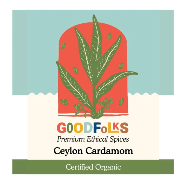 JOYUS WEB BANNER COLLECTION (32)