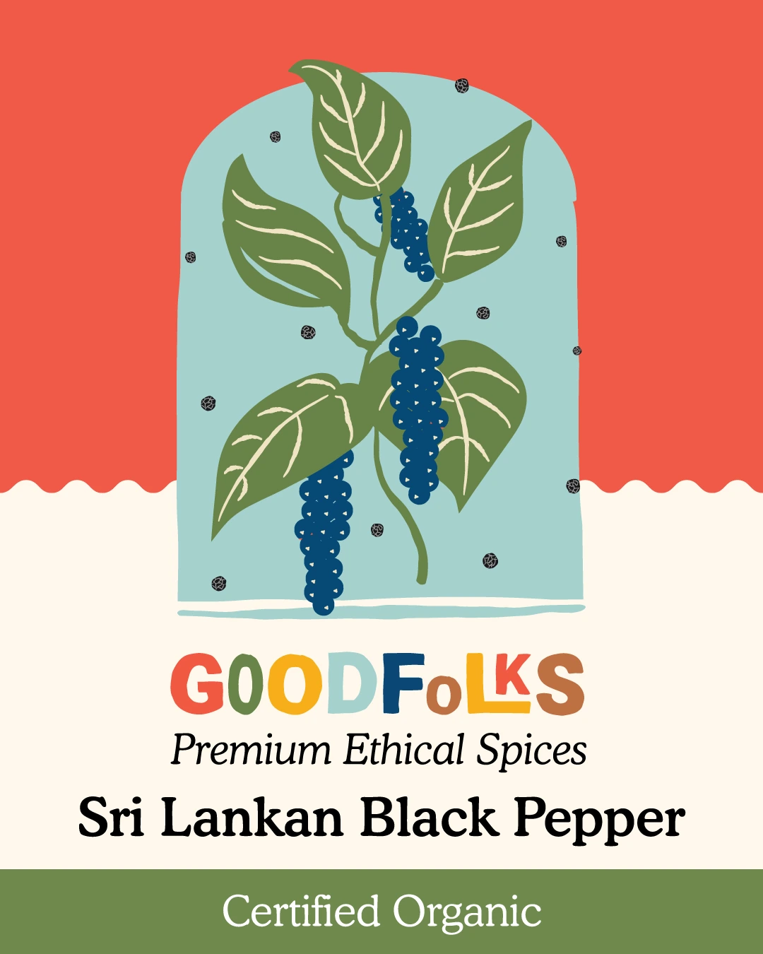 Goodfolks Organic Ceylon Black Pepper corns in burlap gift bag, USDA Organic bold spice.